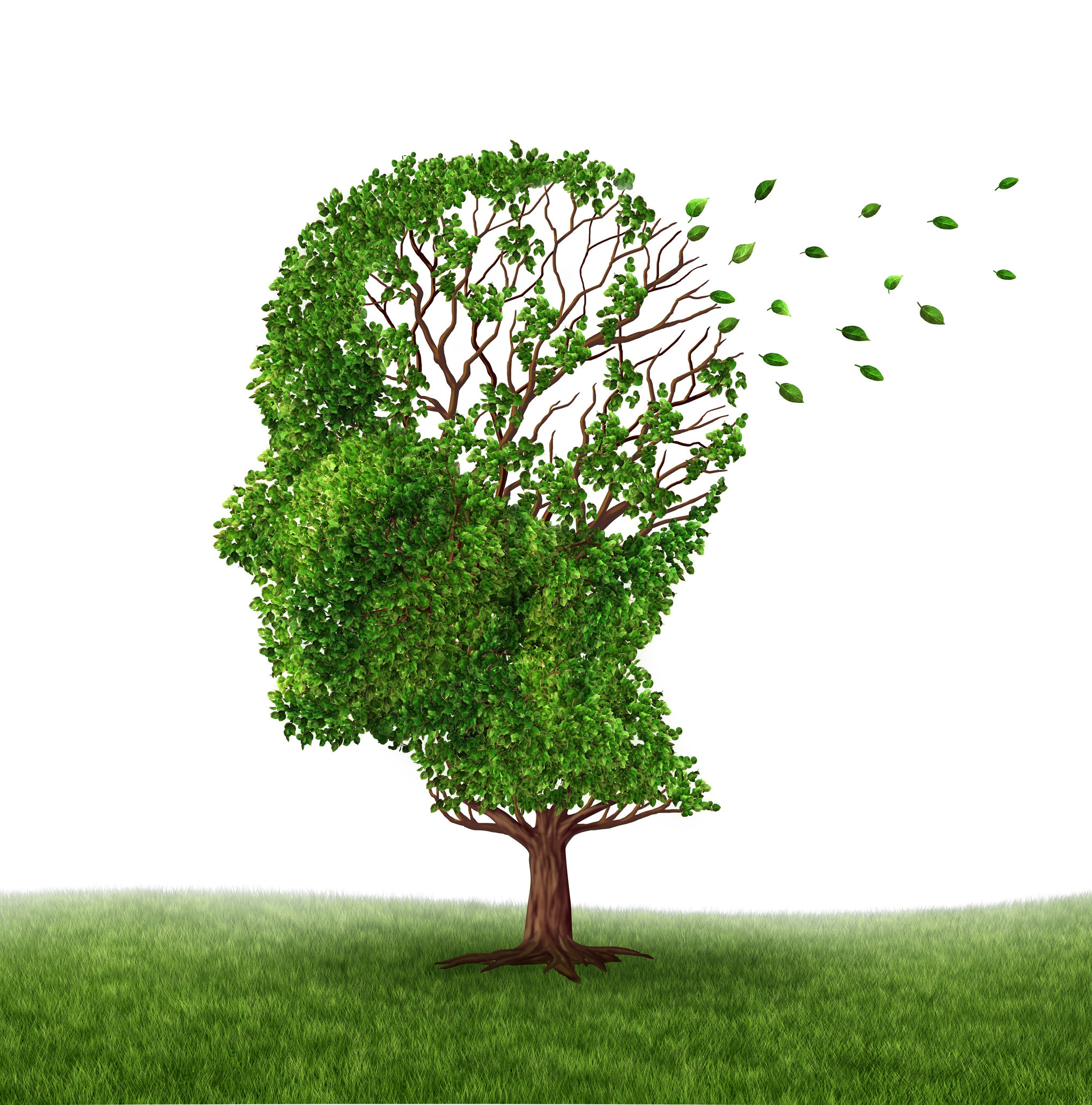 The Difference between Dementia and Alzheimer's Disease